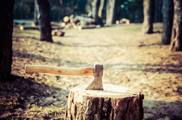 Comment utiliser les techniques de bushcraft pour survivre en camping en milieu sauvage?